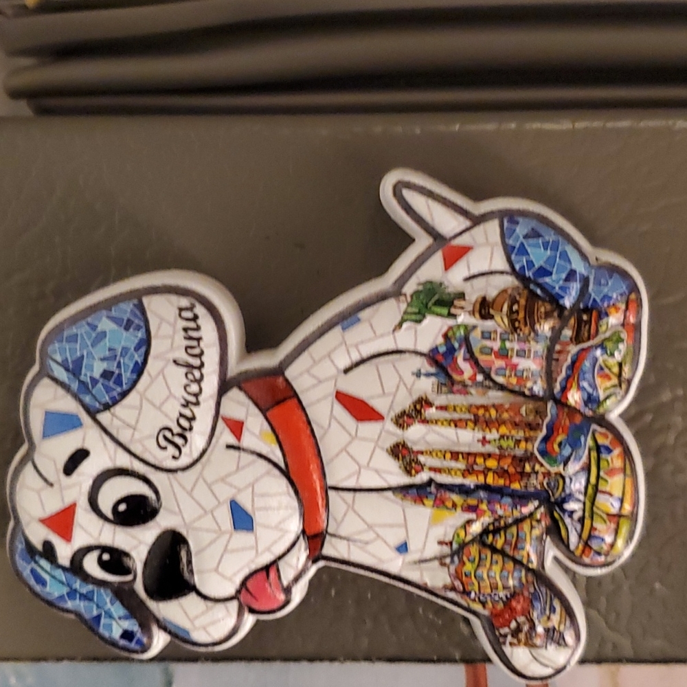 Magnet